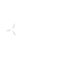 Allen Institute